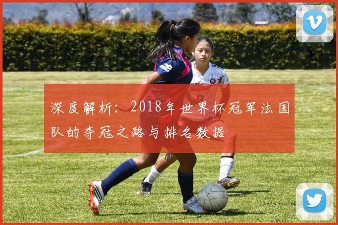 深度解析：2018年世界杯冠军法国队的夺冠之路与排名数据