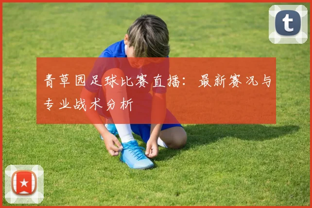 青草园足球比赛直播：最新赛况与专业战术分析
